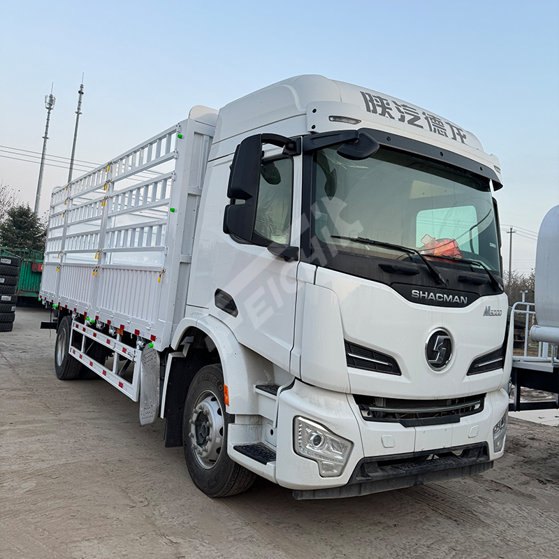 Shacman Truck 4*2 Cargo Truck 30 Tons Lo