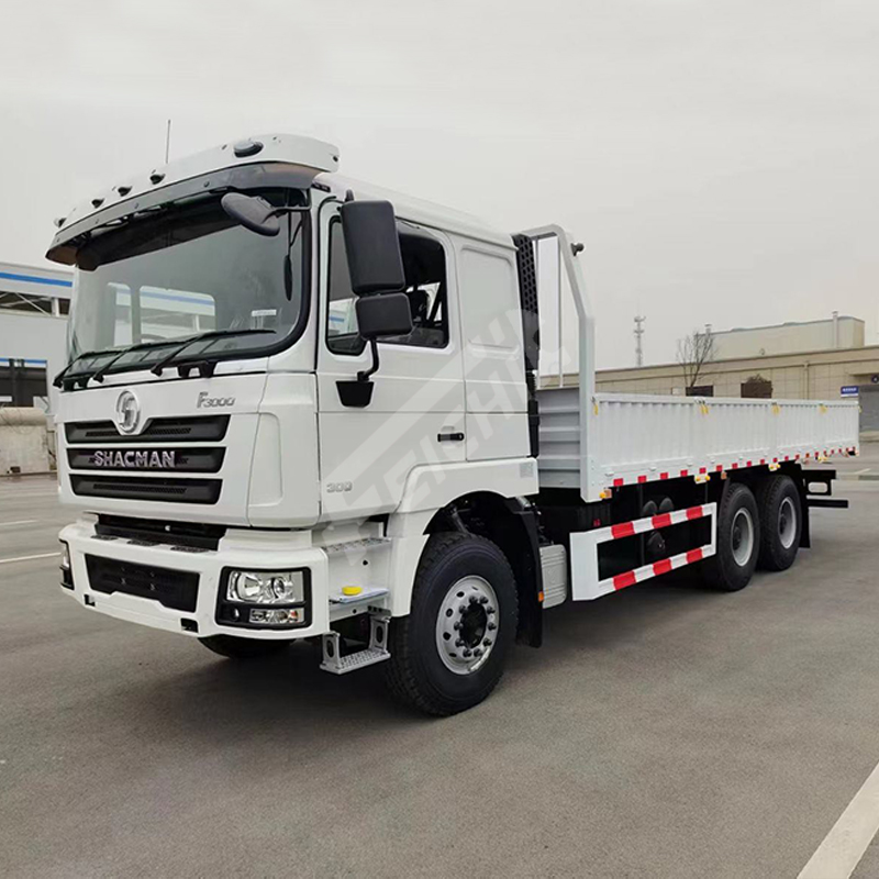 Shacman F3000 6X4 Cargo Truck LHD/RHD 3